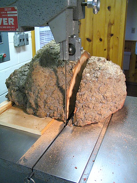 First Cut Through Burl Done